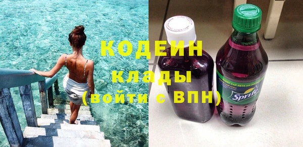 индика Михайловка