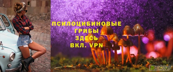 кристаллы Белокуриха