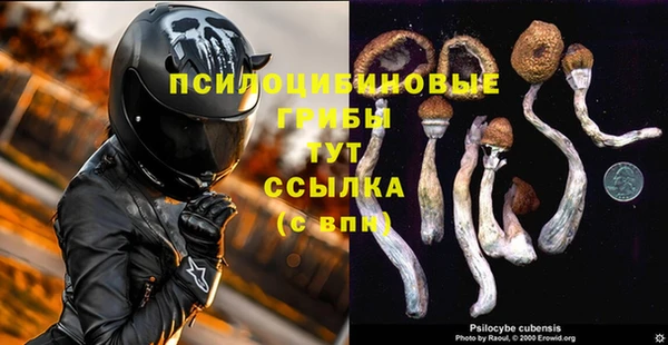 индика Михайловка