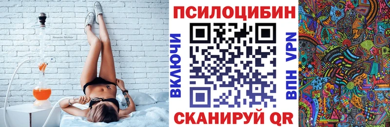 KRAKEN ТОР  Петровск  Псилоцибиновые грибы Psilocybine cubensis 