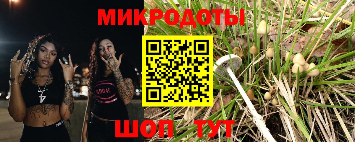 Псилоцибиновые грибы мухоморы Петровск